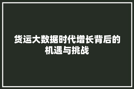 货运大数据时代增长背后的机遇与挑战