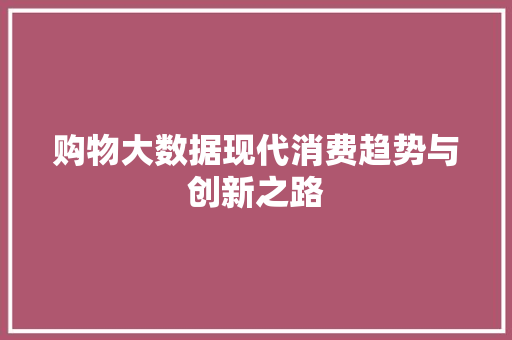 购物大数据现代消费趋势与创新之路