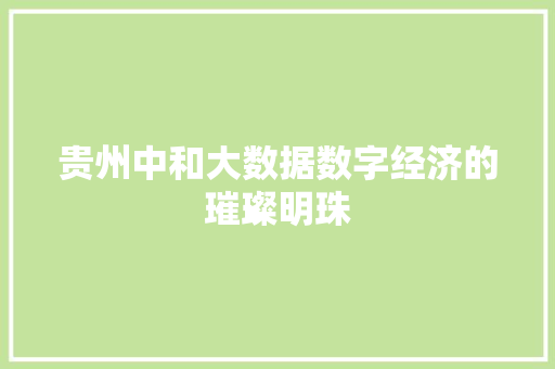 贵州中和大数据数字经济的璀璨明珠 服务器/数据库