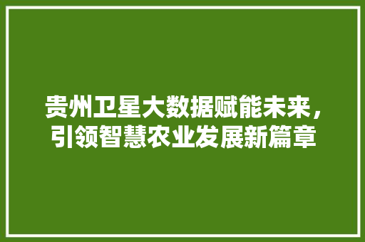 贵州卫星大数据赋能未来，引领智慧农业发展新篇章