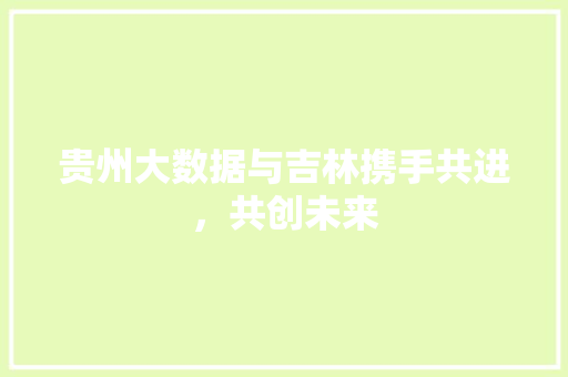贵州大数据与吉林携手共进，共创未来