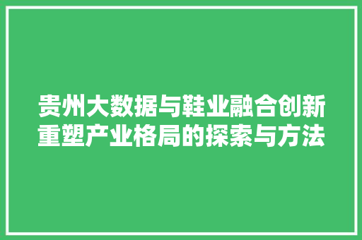 贵州大数据与鞋业融合创新重塑产业格局的探索与方法