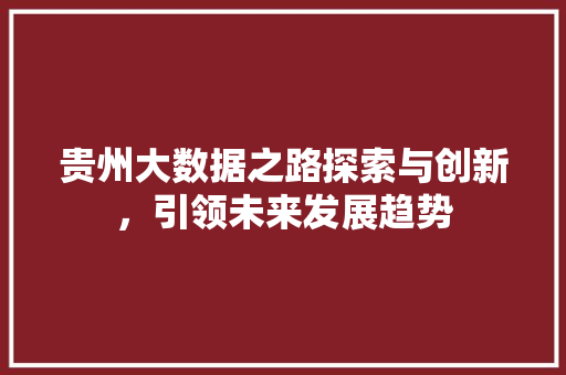 贵州大数据之路探索与创新，引领未来发展趋势