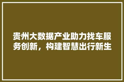 贵州大数据产业助力找车服务创新，构建智慧出行新生态