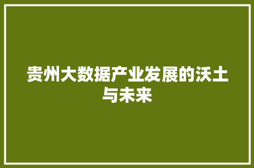 贵州大数据产业发展的沃土与未来
