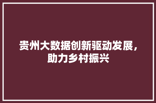 贵州大数据创新驱动发展，助力乡村振兴