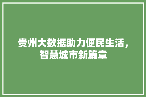 贵州大数据助力便民生活，智慧城市新篇章