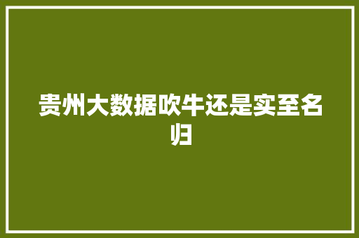 贵州大数据吹牛还是实至名归