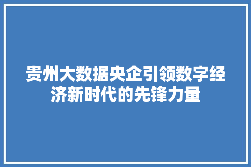 贵州大数据央企引领数字经济新时代的先锋力量