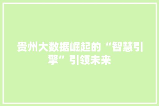 贵州大数据崛起的“智慧引擎”引领未来