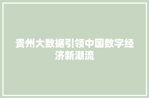 贵州大数据引领中国数字经济新潮流