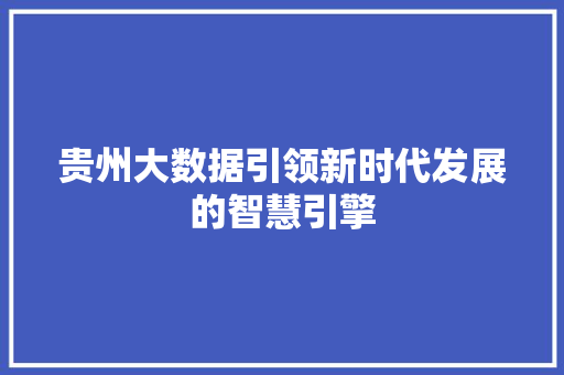 贵州大数据引领新时代发展的智慧引擎