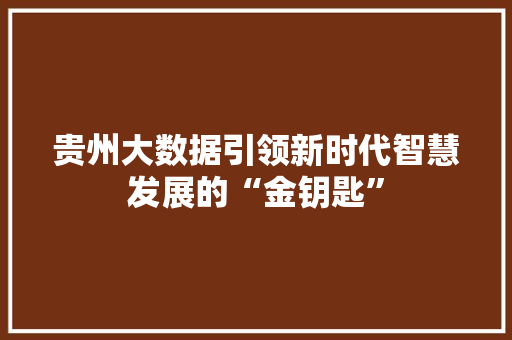 贵州大数据引领新时代智慧发展的“金钥匙”