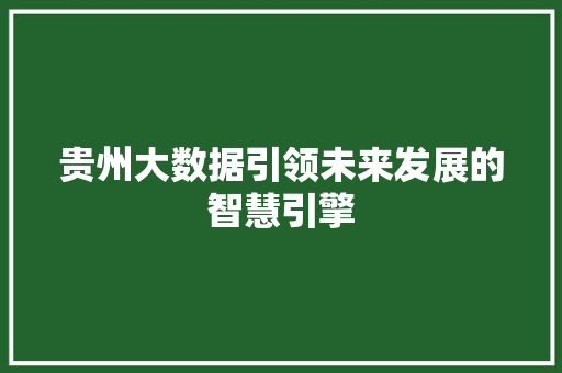 贵州大数据引领未来发展的智慧引擎