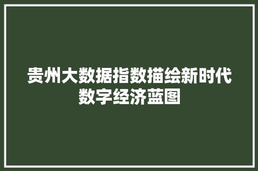 贵州大数据指数描绘新时代数字经济蓝图