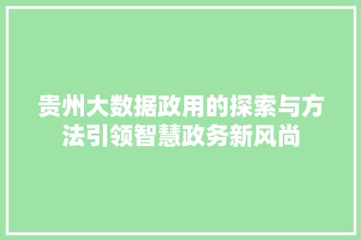 贵州大数据政用的探索与方法引领智慧政务新风尚
