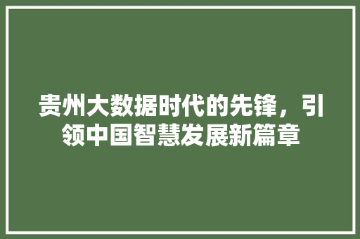 贵州大数据时代的先锋，引领中国智慧发展新篇章