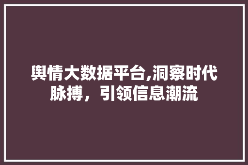 舆情大数据平台,洞察时代脉搏，引领信息潮流 舆情大数据平台,洞察时代脉搏，引领信息潮流 SEO教程