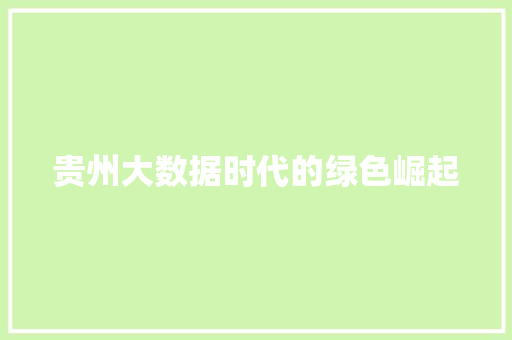 贵州大数据时代的绿色崛起