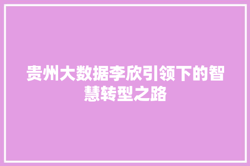 贵州大数据李欣引领下的智慧转型之路