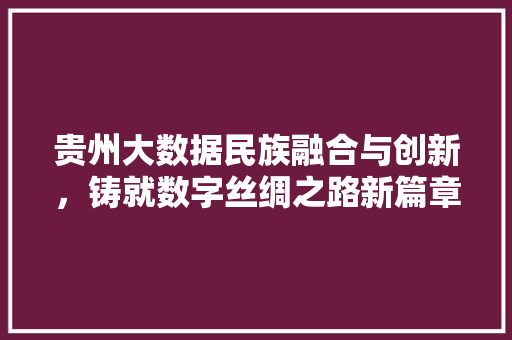 贵州大数据民族融合与创新，铸就数字丝绸之路新篇章