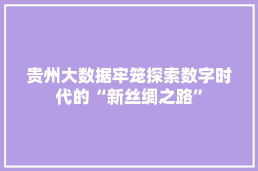 贵州大数据牢笼探索数字时代的“新丝绸之路”