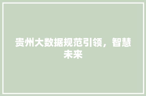 贵州大数据规范引领，智慧未来 建站教程