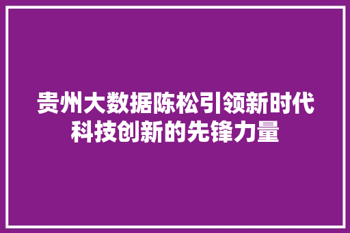 贵州大数据陈松引领新时代科技创新的先锋力量