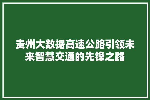 贵州大数据高速公路引领未来智慧交通的先锋之路 建站教程