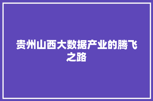贵州山西大数据产业的腾飞之路