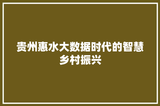 贵州惠水大数据时代的智慧乡村振兴