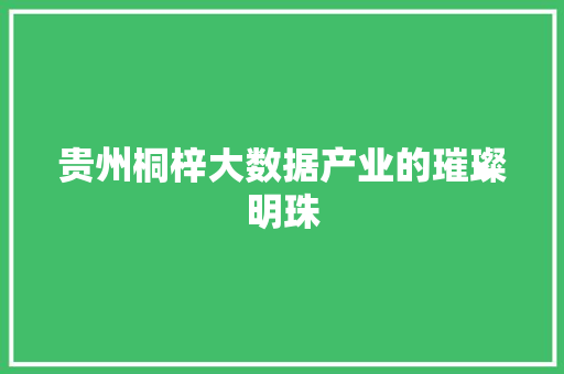 贵州桐梓大数据产业的璀璨明珠 建站教程