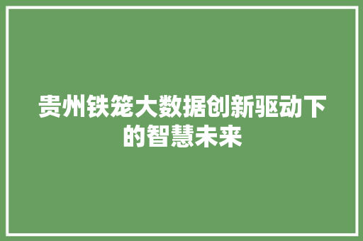 贵州铁笼大数据创新驱动下的智慧未来