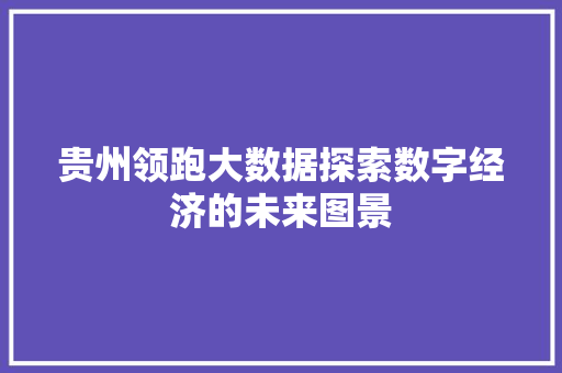 贵州领跑大数据探索数字经济的未来图景