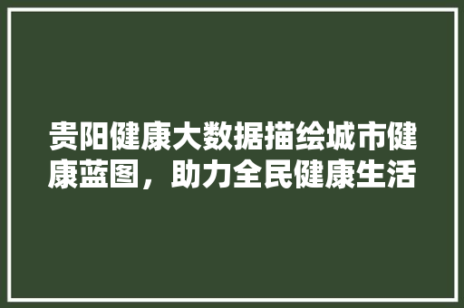 贵阳健康大数据描绘城市健康蓝图，助力全民健康生活