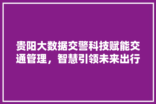 贵阳大数据交警科技赋能交通管理，智慧引领未来出行