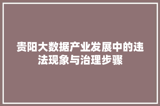 贵阳大数据产业发展中的违法现象与治理步骤