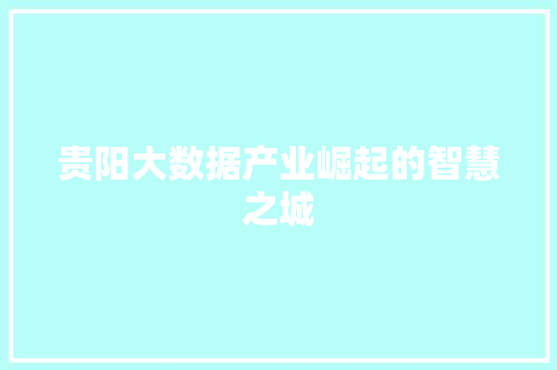 贵阳大数据产业崛起的智慧之城
