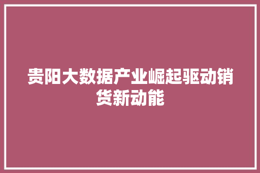 贵阳大数据产业崛起驱动销货新动能