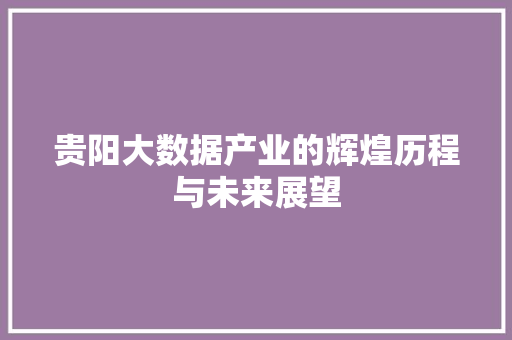 贵阳大数据产业的辉煌历程与未来展望