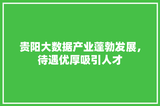 贵阳大数据产业蓬勃发展，待遇优厚吸引人才 WordPress教程
