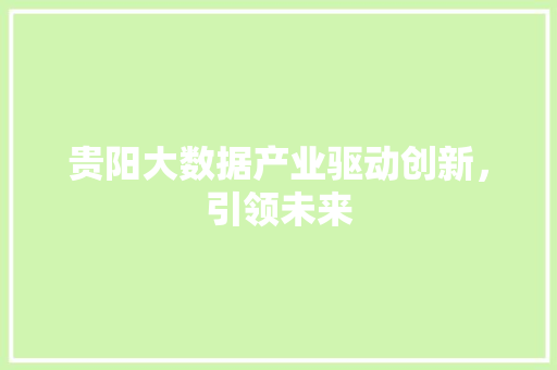 贵阳大数据产业驱动创新，引领未来