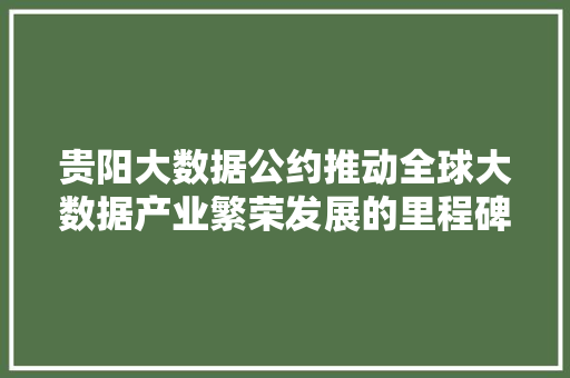 贵阳大数据公约推动全球大数据产业繁荣发展的里程碑