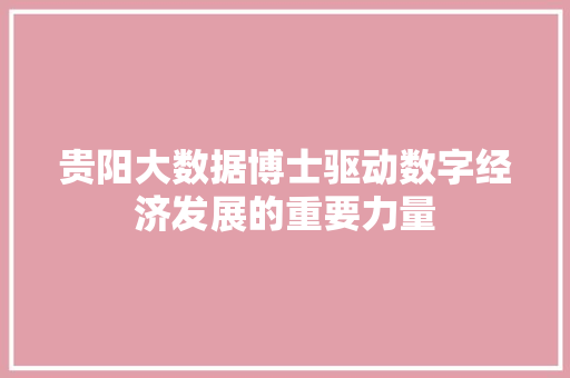 贵阳大数据博士驱动数字经济发展的重要力量