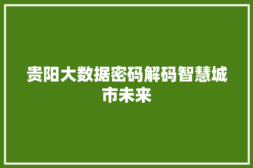 贵阳大数据密码解码智慧城市未来