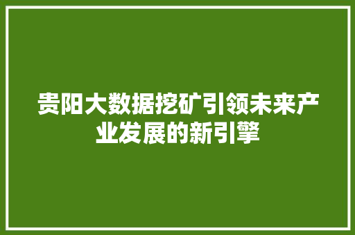 贵阳大数据挖矿引领未来产业发展的新引擎