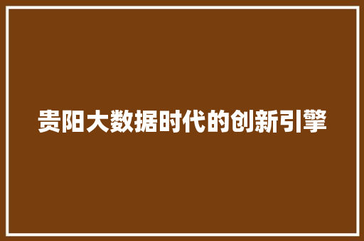 贵阳大数据时代的创新引擎