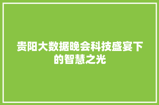 贵阳大数据晚会科技盛宴下的智慧之光
