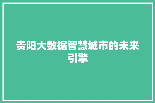 贵阳大数据智慧城市的未来引擎