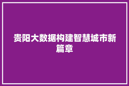 贵阳大数据构建智慧城市新篇章